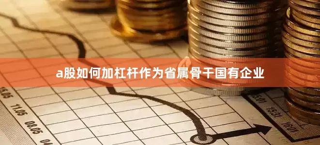 a股如何加杠杆作为省属骨干国有企业