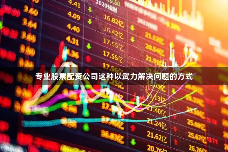 专业股票配资公司这种以武力解决问题的方式